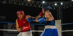 solar feed-in battle