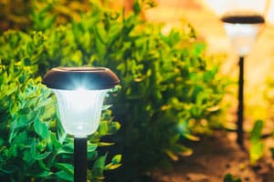 Solar powered LED garden lights