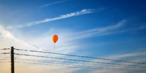2025-25 DMO Electricity Price